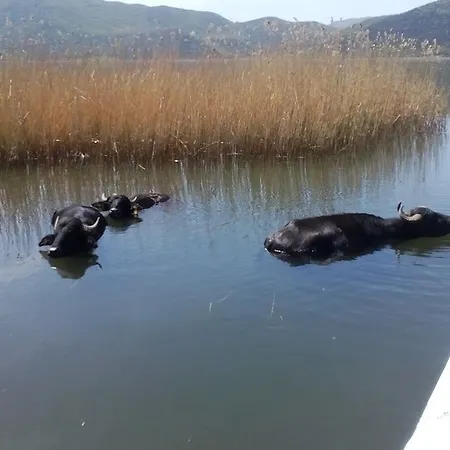 Agios Achillios 3* Άγιος Αχίλλειος