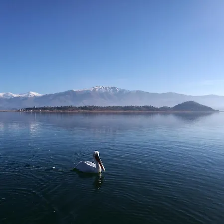 Agios Achillios Πανσιόν