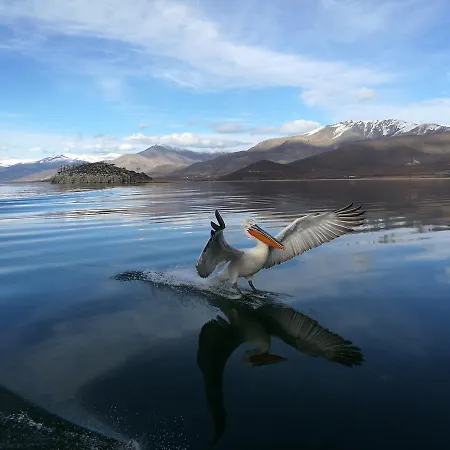Πανσιόν Agios Achillios Άγιος Αχίλλειος