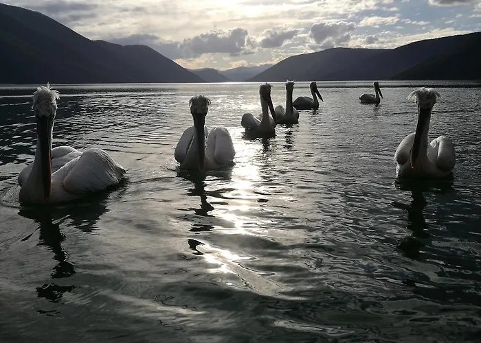 Agios Achillios Pensión