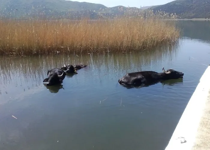 Agios Achillios 3* Agios Achillios