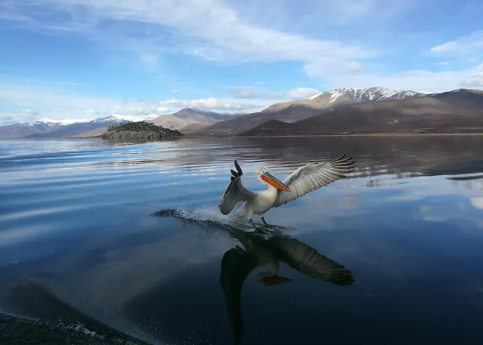 Pensión Agios Achillios Agios Achillios